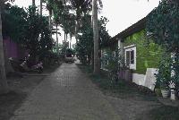 Drive way at CoCo Villa