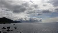 Picture26119464
